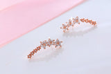 Christmas Gift  Star Stud Earrings for Women Party Brincos Hypoallergenic Wedding Jewelry eh830