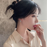 Christmas Gift 2023 New Exquisite Luxury Zircon Small Earrings For Woman Fashion Korean Jewelry Minimalist Party Sexy Girl's Unusual Earrings