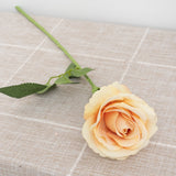 Aveuri 5pcs Beautiful Silk Artificial Rose Flowers Wedding Home Table Decor Long Bouquet Arrange Fake Plants Valentine's Day Presents