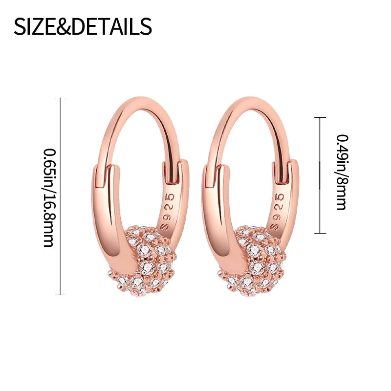 Silver Color Hoop Earrings Women Fashion Fine Jewelry 2023 New Sterling Silver Color Hoop Women Earings Fine Fashion Jewelry Gif