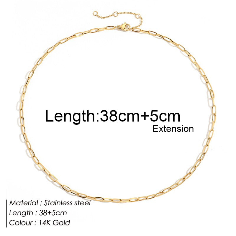 Aveuri Stainless Steel Horsewhip Chain Necklace Women Choker For Women Gold Color Long Chains Collars Neck Female Necklace Wholesale